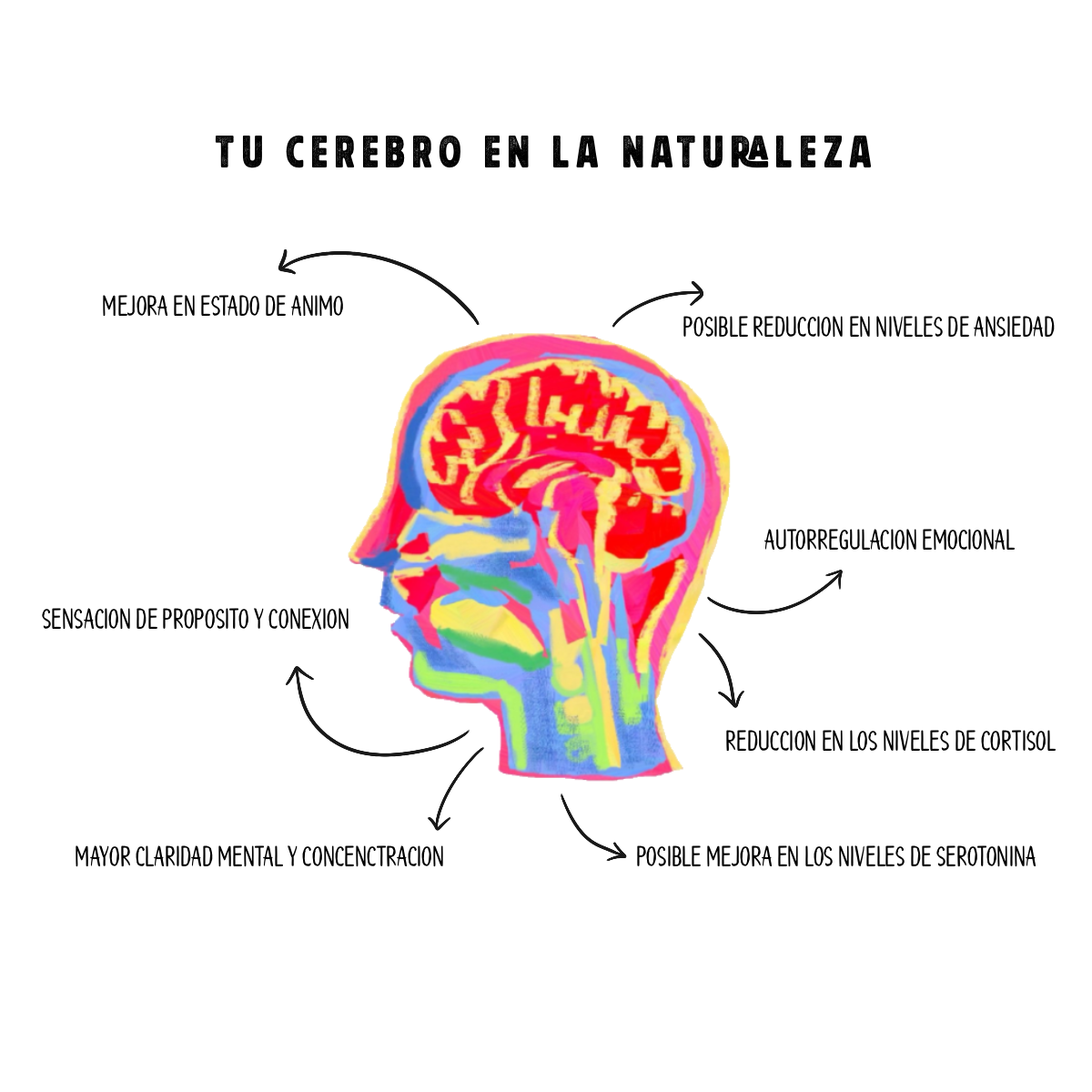 TU CEREBRO EN LA HUERTA